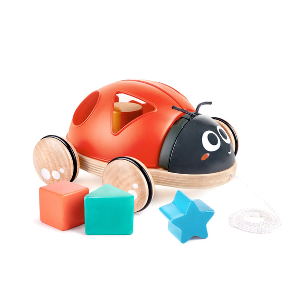 Hape Toys -  Shape Sorter Ladybug