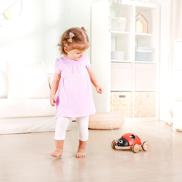 Hape Toys -  Shape Sorter Ladybug