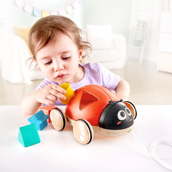 Hape Toys -  Shape Sorter Ladybug