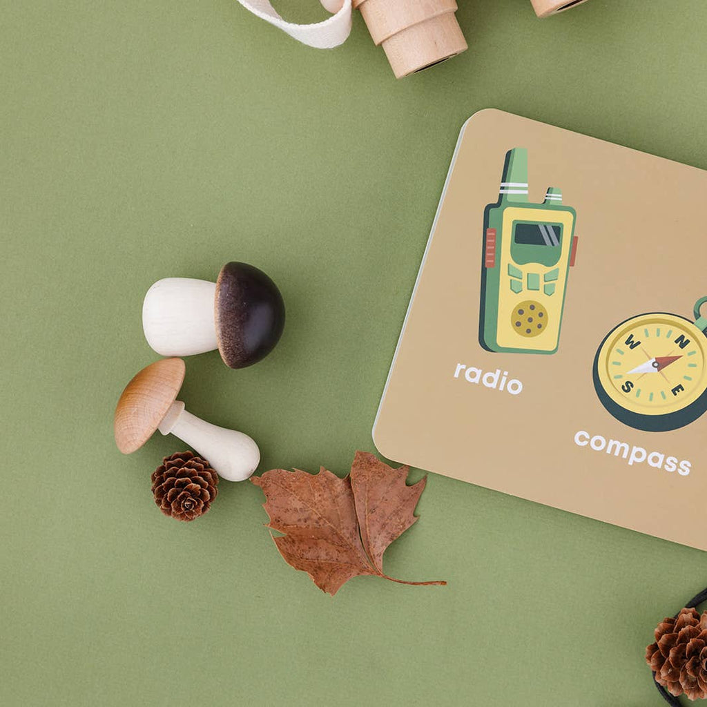 Wooden mushrooms, pine cone, and leaf on a green surface with a card featuring a radio and compass illustration.