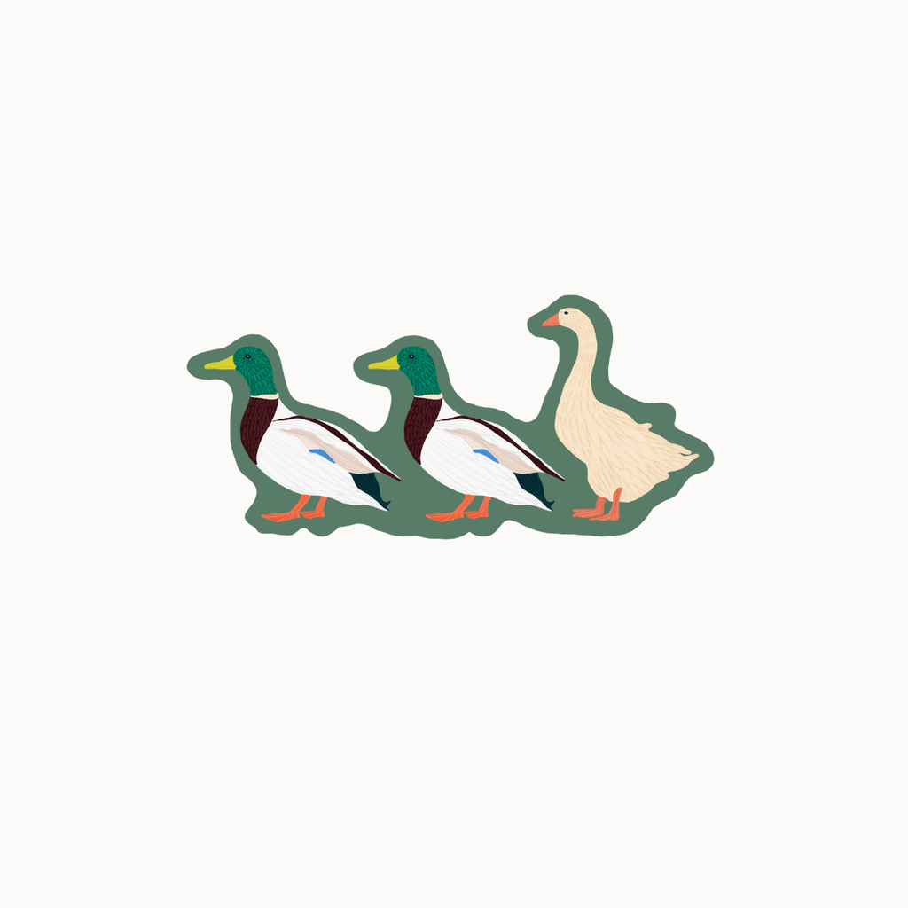 A die-cut sticker featuring three ducks in profile: two mallards with green heads, white bodies, and dark brown chest details, and one cream-colored goose on the right, all outlined in dark green and set on a light gray background.