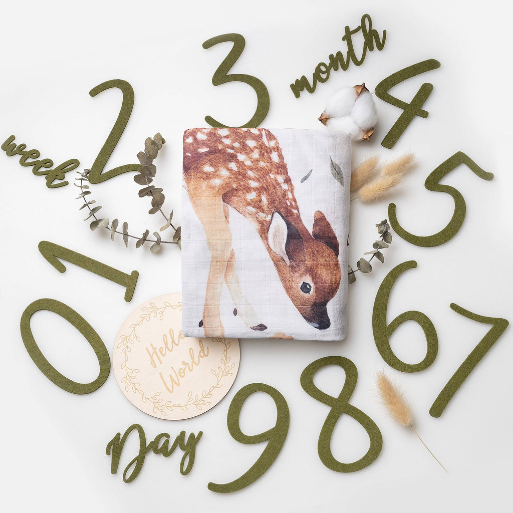 Baby milestone blanket with deer design surrounded by decorative numbers and phrases on a white background