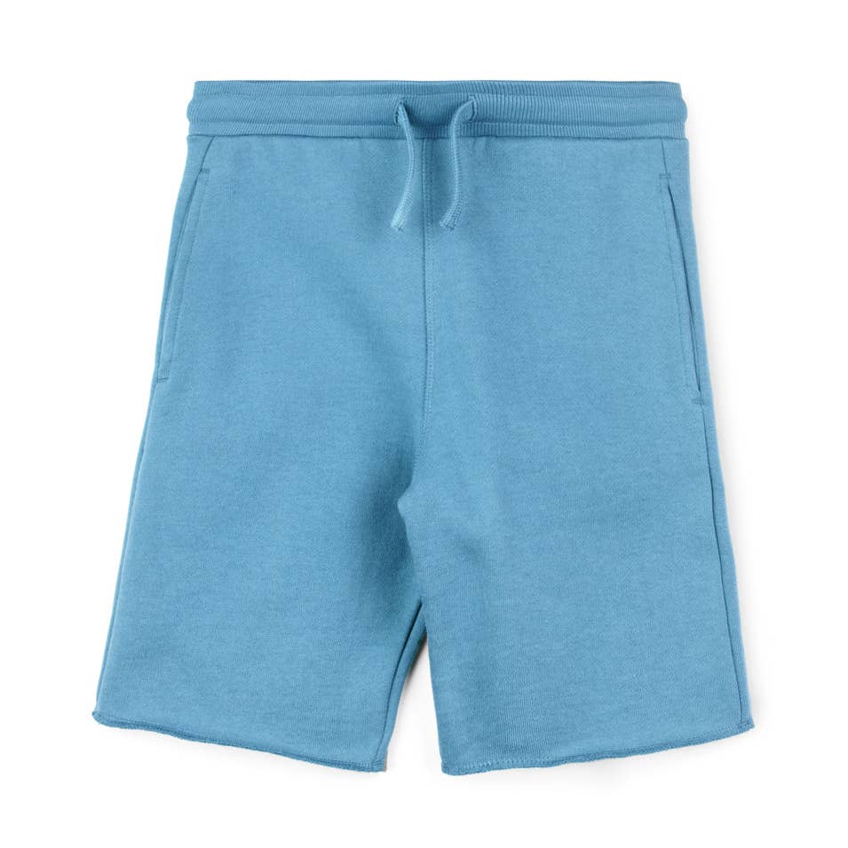 Blue shorts with a drawstring on a white background