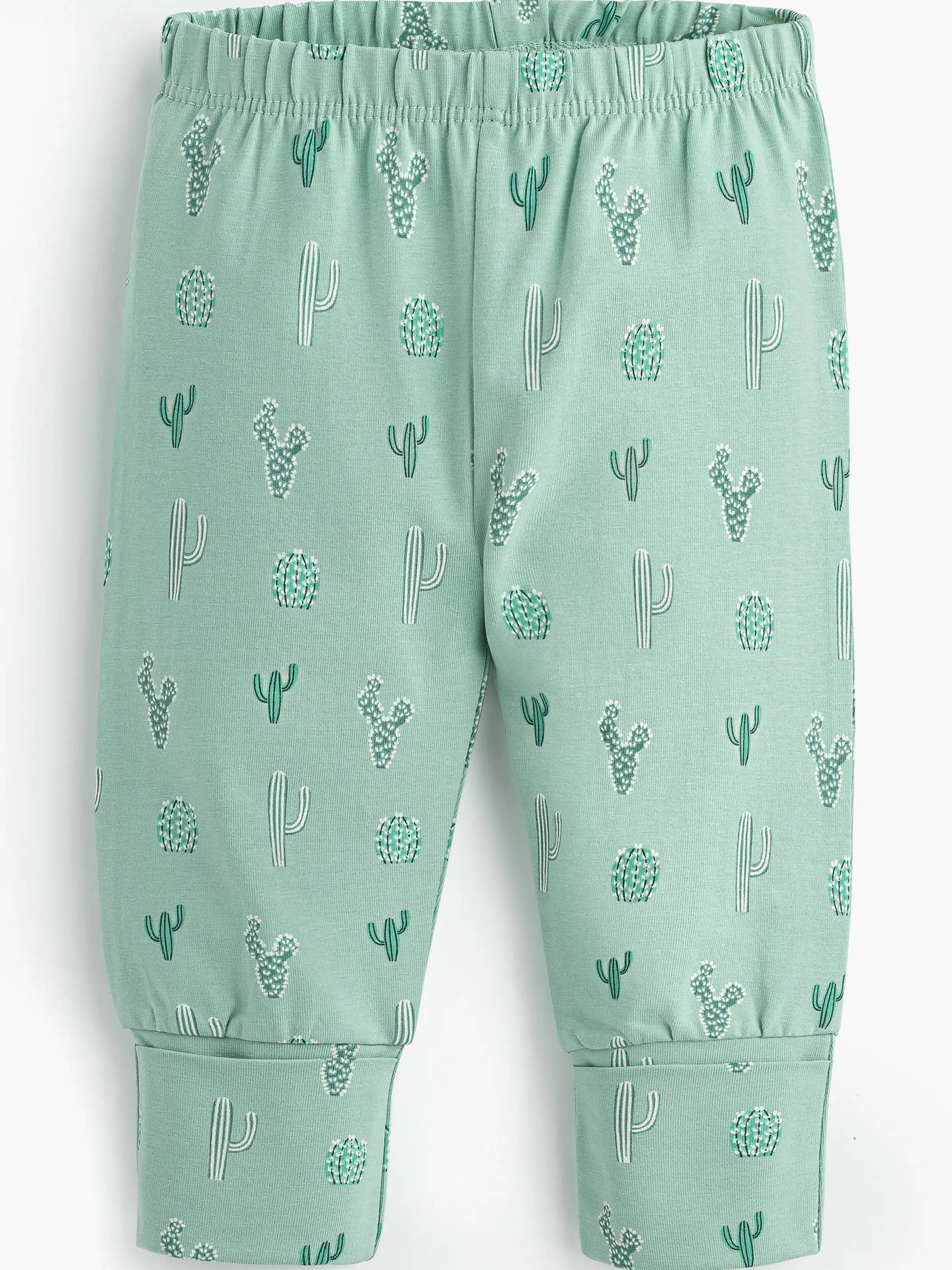 Green pants with cactus pattern on a plain background