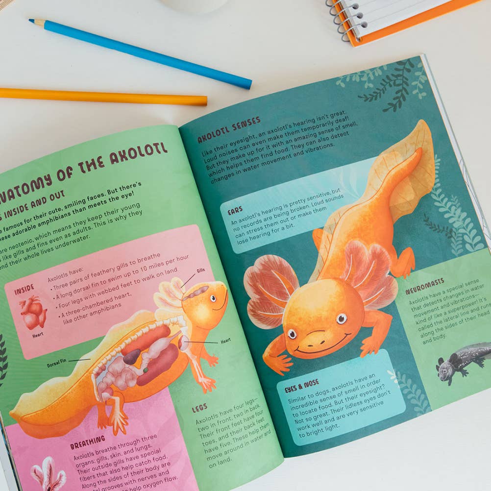 Penguin Random House - Amazing Axolotls