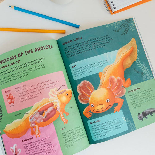 Penguin Random House - Amazing Axolotls