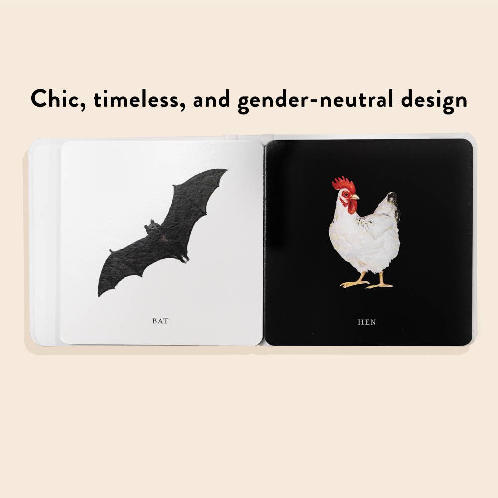 Penguin Random House - Baby's Black and White Book