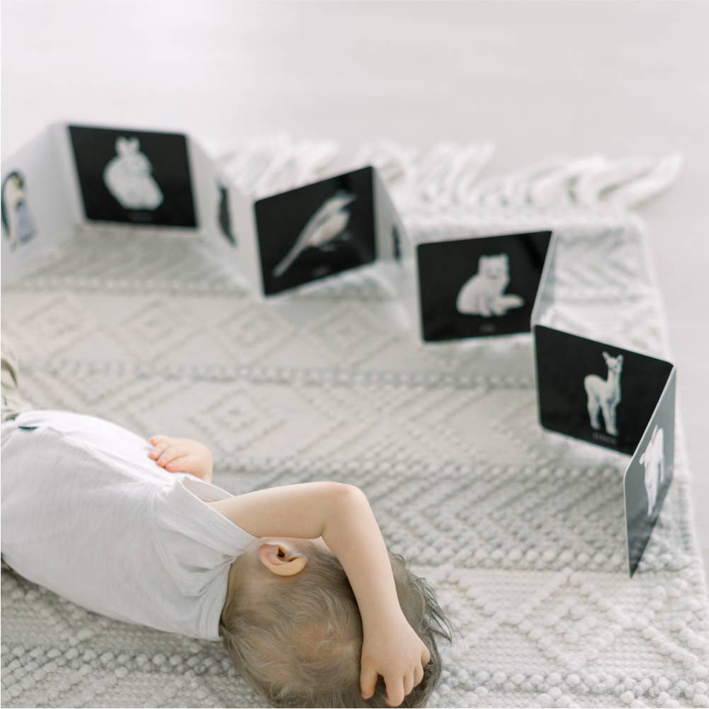 Penguin Random House - Baby's Black and White Book