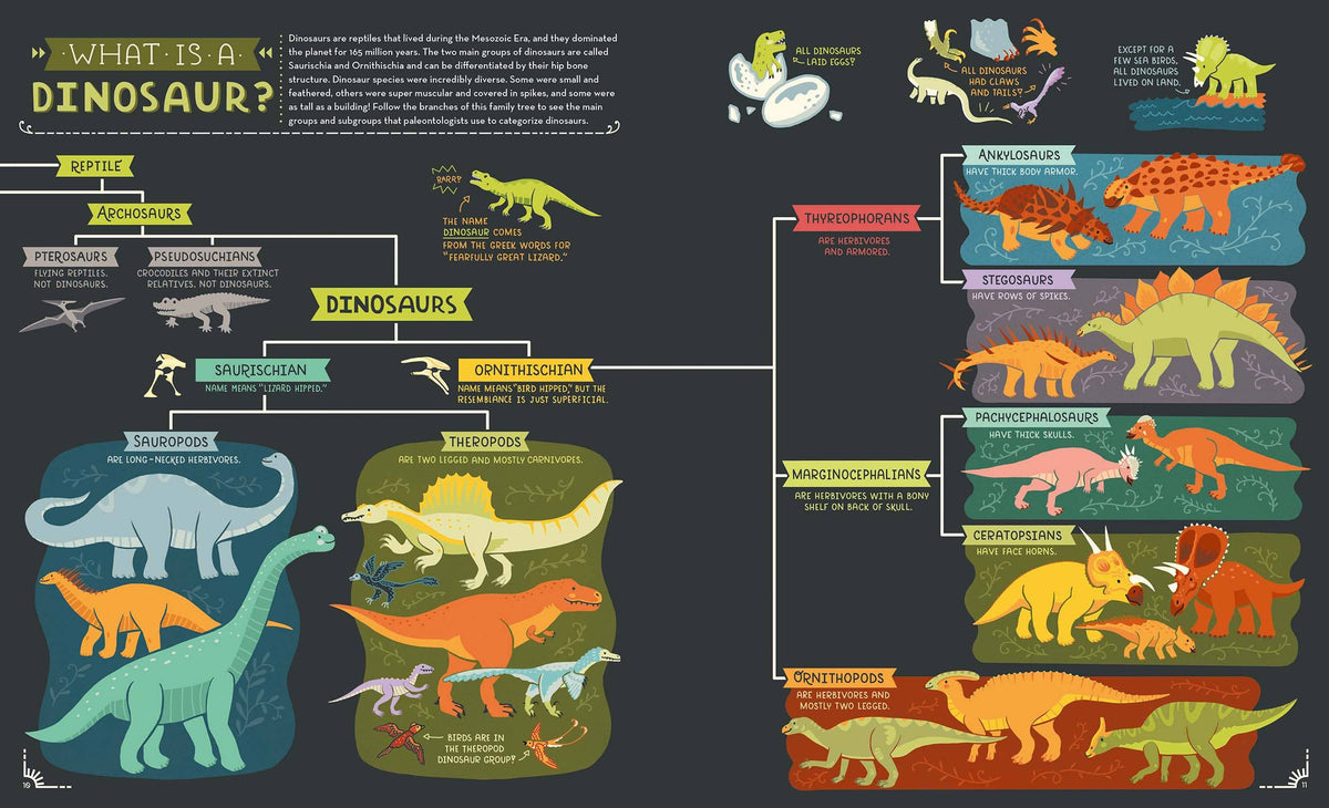 Educational infographic about dinosaurs with colorful illustrations and text on a dark background