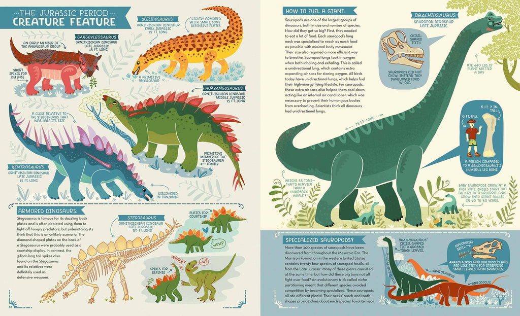 Educational poster about dinosaurs with illustrations and text on a white background