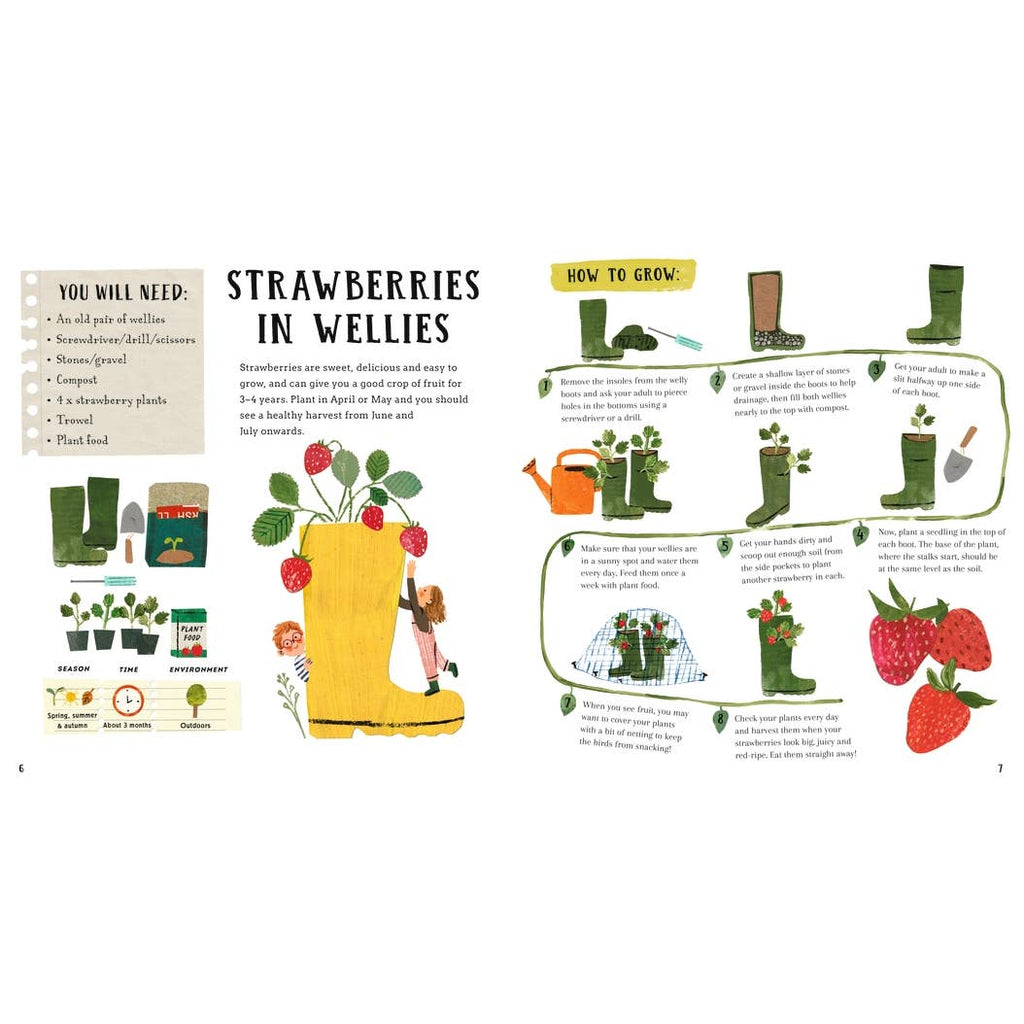 Illustration on growing strawberries in wellies with text and graphics.