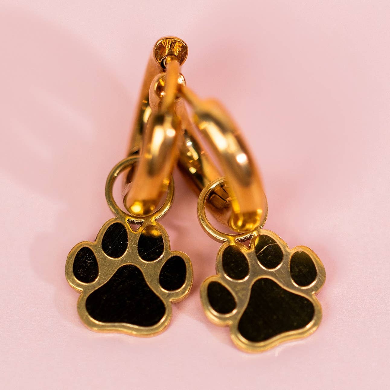 Gold hoop earrings with black paw print charms on a pink background
