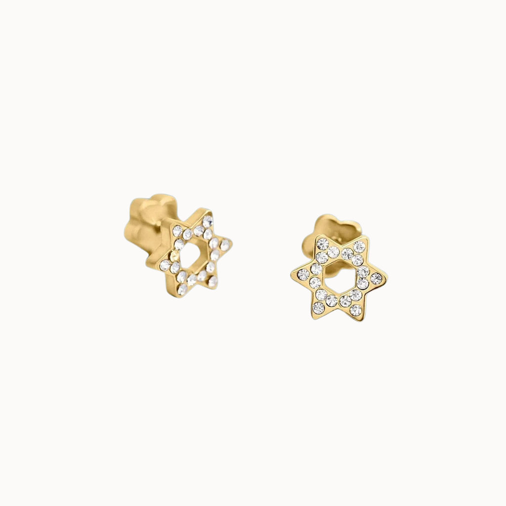 Pierced Co - Star of David Earrings
