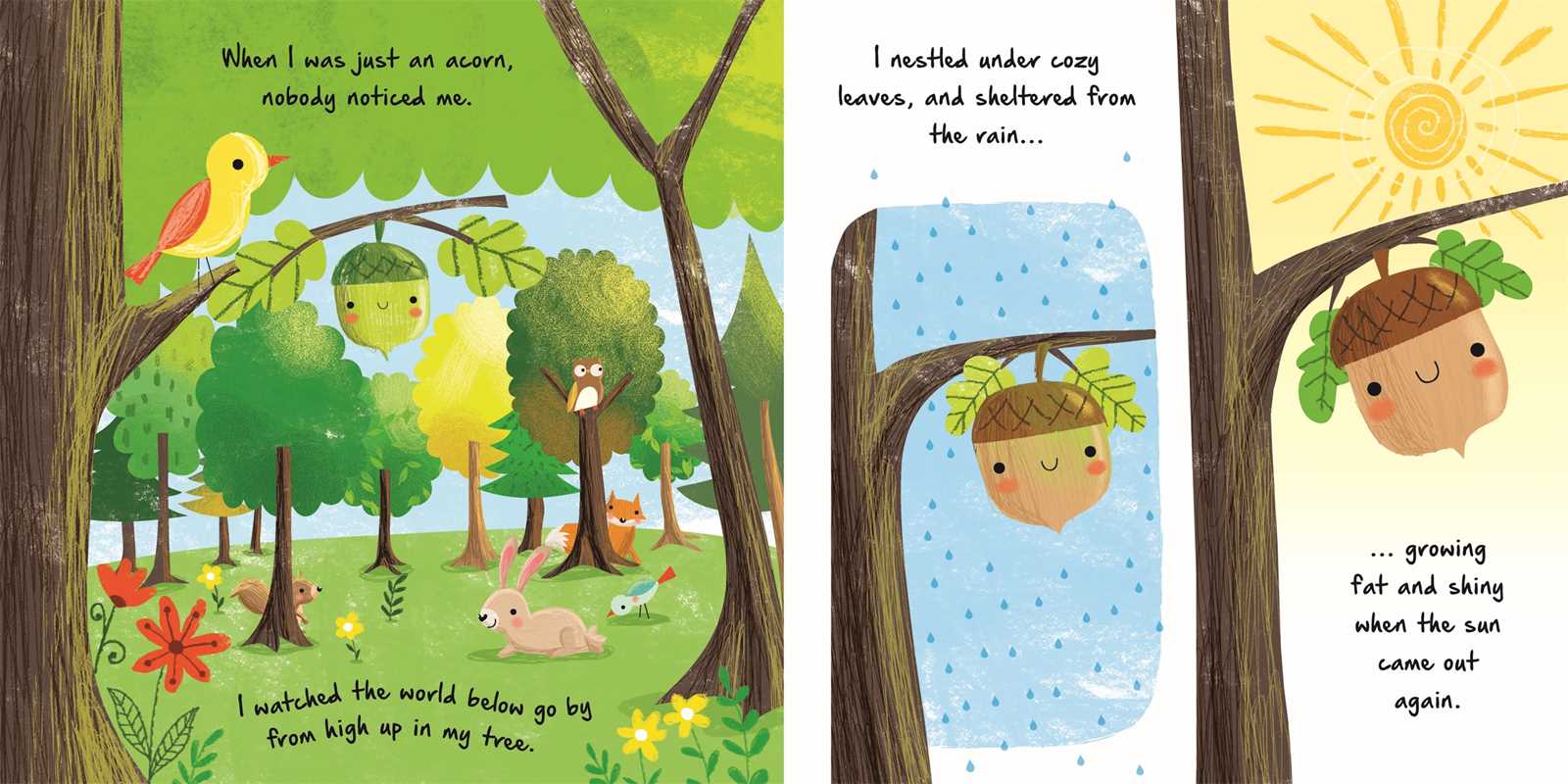 A children's book-style illustration showing a forest scene with a bird hanging in a tree, plus two close-up panels of the same bird's face in acorns while raining. The image includes printed text and is not a real photographed product.