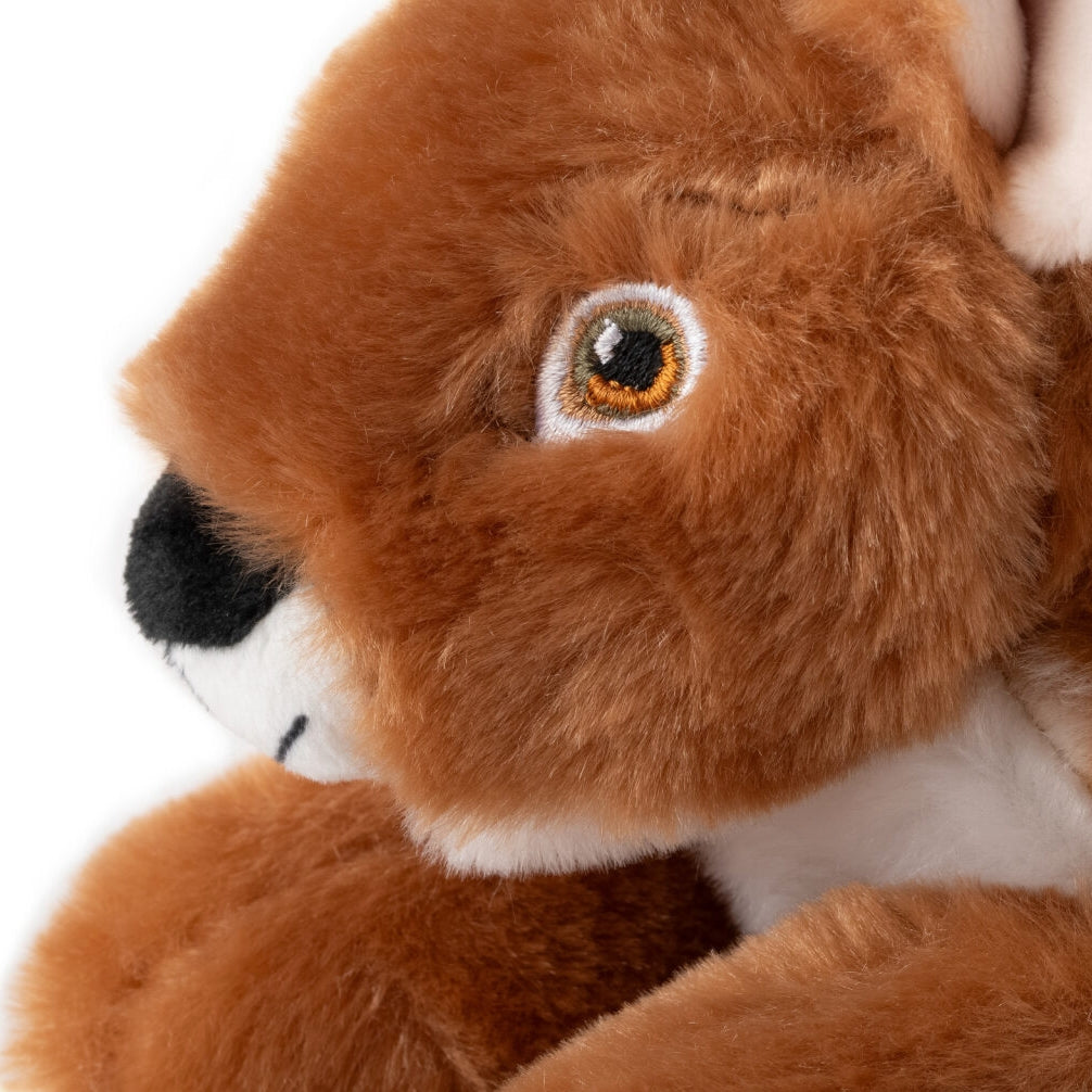 Close-up of a brown plush toy with a white muzzle on a white background
