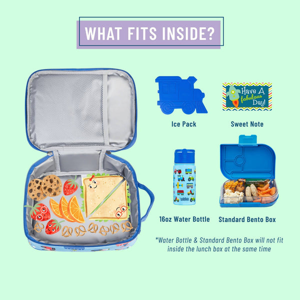 Lunch box with compartments and items that fit inside on a light green background