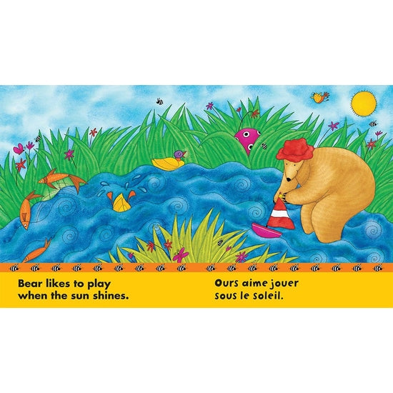 Bear in Sunshine/Ours au soleil
