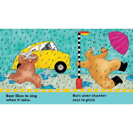 Bear in Sunshine/Ours au soleil