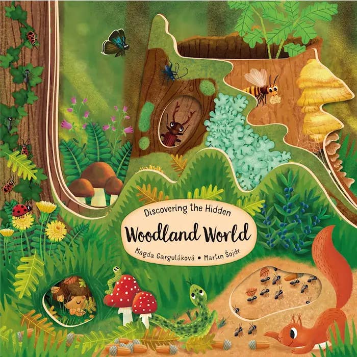 Woodland World Board Book