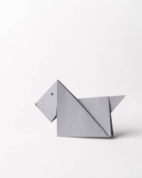 Paper magic kit - case
