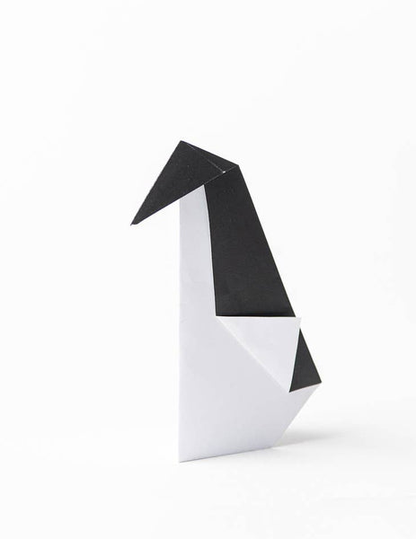 Paper magic kit - case